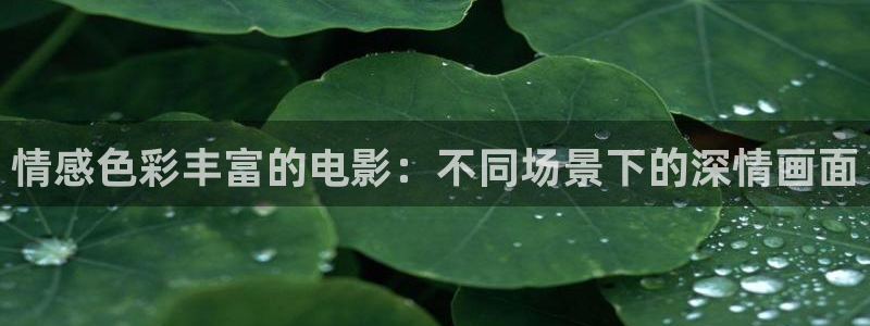 走向共和电视剧星辰影院：情感色彩丰富的电影：不同场景下的深情画面
