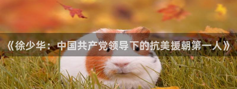 星辰影院好看：《徐少华：中国共产党领导下的抗美援朝第一人》