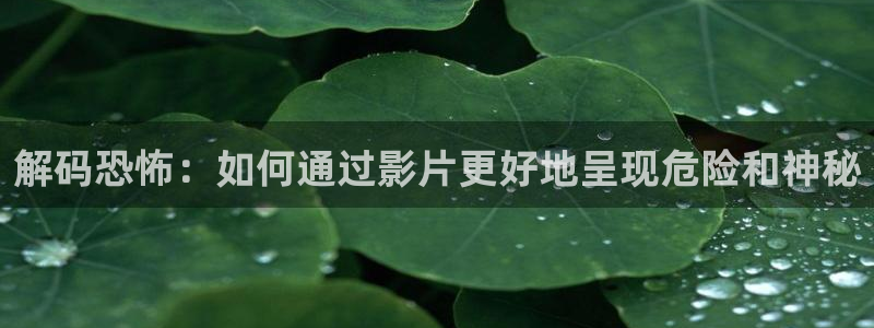 你好星期六2025星辰影院：解码恐怖：如何通过影片更好地呈现危险和神秘