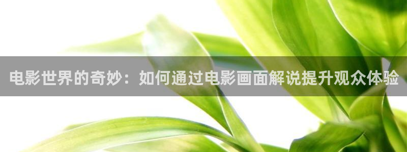 似锦电视剧免费观看完整版高清星辰影院