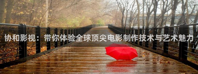 无心法师星辰影院：协和影视：带你体验全球顶尖电影制作技术与艺术魅力