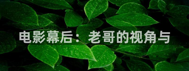 星辰于我漫画免费下拉式快看漫画：电影幕后：老哥的视角与