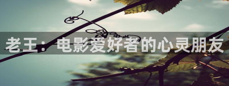 星辰影院hd