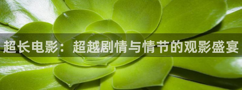 我的小确幸免费观看星辰影视