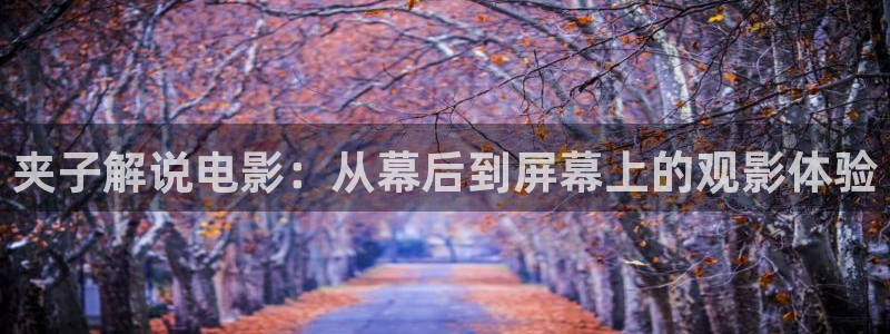 午夜星辰电影免费观看