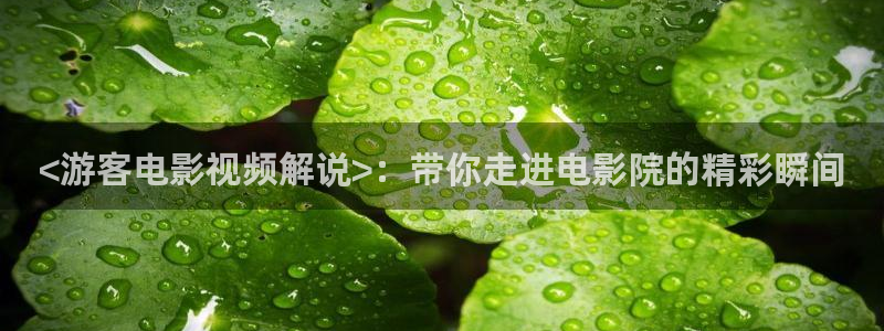 何以笙箫默星辰影视