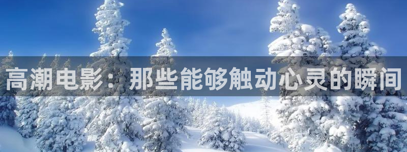 侠之大者星辰影院