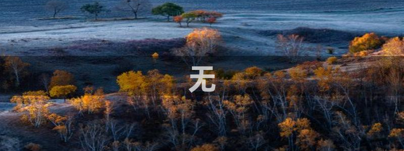 包青天之开封奇案星辰影院