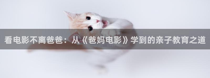 一念永恒动漫星辰影院