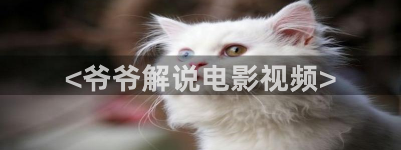 大侦探拾光季在线观看星辰影院