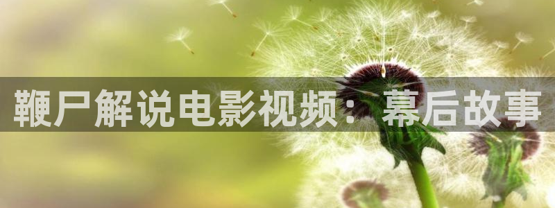 星辰影院在线观看在线观看