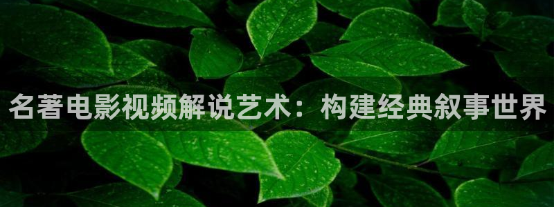 星辰视频在线观看免费大全电视剧
