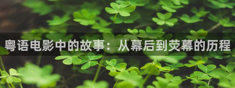 何以笙箫默星辰影院