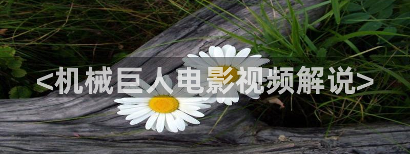 熊出没逆转时空免费观看星辰影院