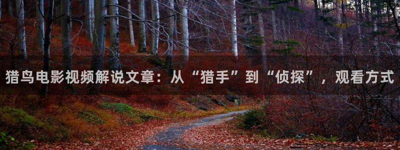 步步惊心星辰影院电视剧