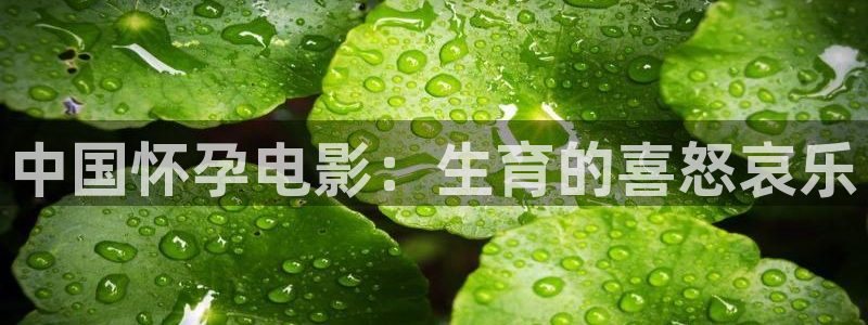 豺狼的日子星辰影院