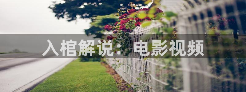 星辰于我漫蛙漫画