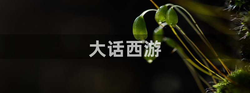 暗夜与黎明免费播放星辰影院