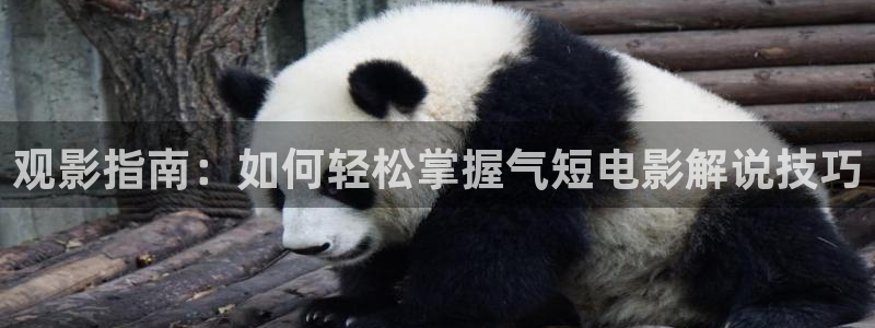 天涯赤子心星辰影院