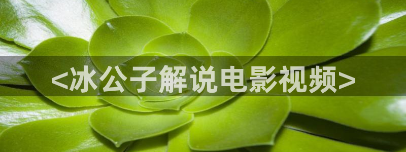 名侦探柯南在线观看星辰影院