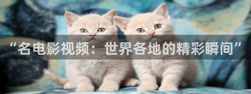 念无双星辰影院