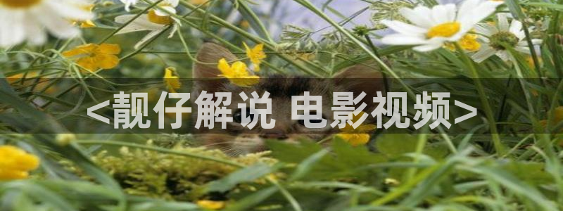急诊科医生电视剧星辰影院