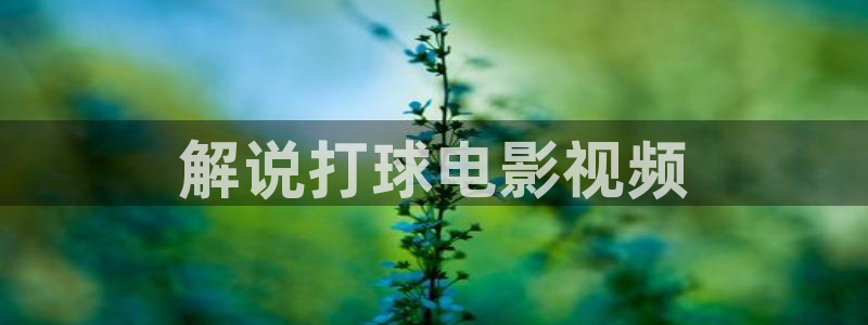 策驰影院官网星辰影院