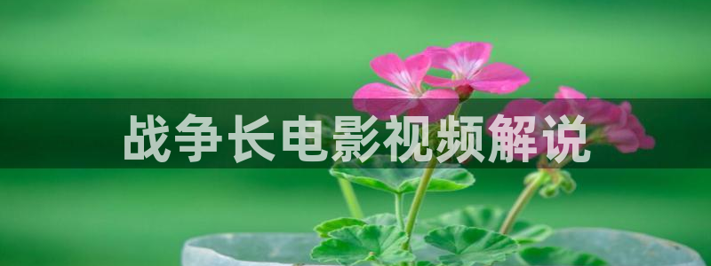 星辰影视在线免费