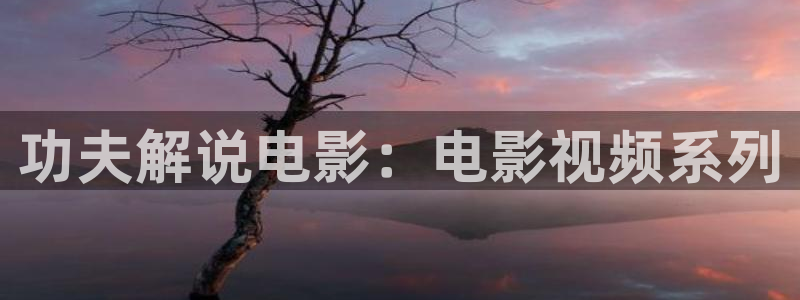 星辰影院大反派电影：功夫解说电影：电影视频系列