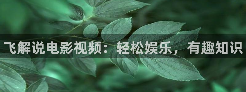 星辰视频在线观看高清电视剧