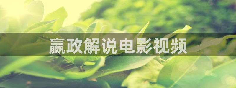 长乐曲免费看星辰影院：嬴政解说电影视频