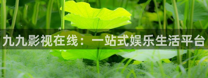 悬崖星辰影院