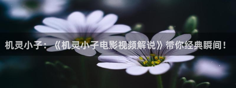 天盛长歌免费观看星辰影院：机灵小子：《机灵小子电影视频解说》带你经典瞬间！