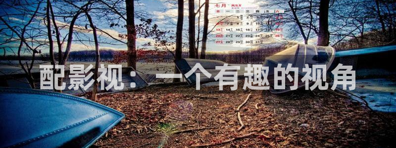 护心电视剧免费观看星辰影视：配影视：一个有趣的视角