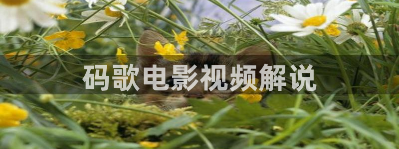 长安十二时辰星辰影院：码歌电影视频解说