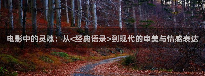 度华年星辰影院电视剧免费播放：电影中的灵魂：从<经典语录>到现代的审美与情感表达