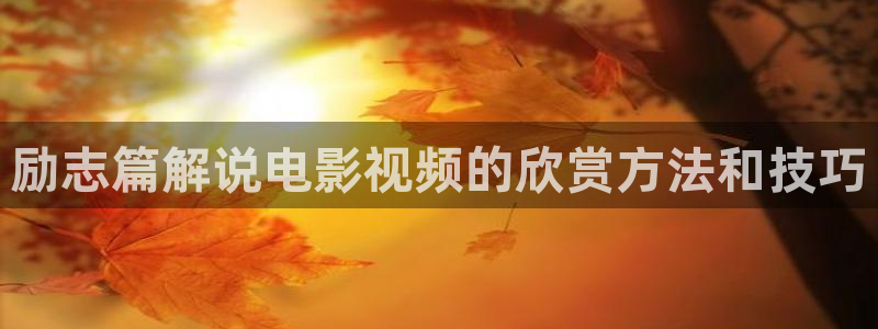 百岁之好一言为定电视剧星辰影院：励志篇解说电影视频的欣赏方法和技巧