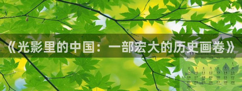 风筝星辰影院：《光影里的中国：一部宏大的历史画卷》
