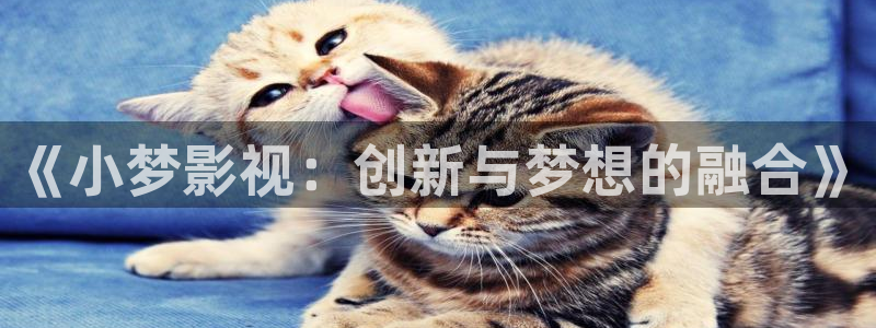 星辰影院归路免费版：《小梦影视：创新与梦想的融合》
