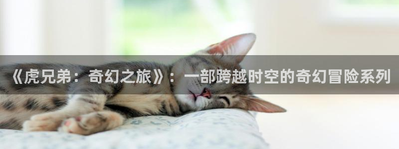 惜花芷电视剧星辰影视：《虎兄弟：奇幻之旅》：一部跨越时空的奇幻冒险系列