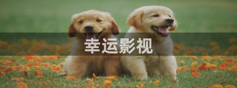 星辰影院狂飙电视剧免费观看完整版高清：幸运影视