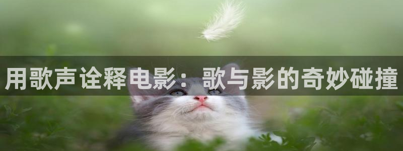 星辰影视无间道：用歌声诠释电影：歌与影的奇妙碰撞