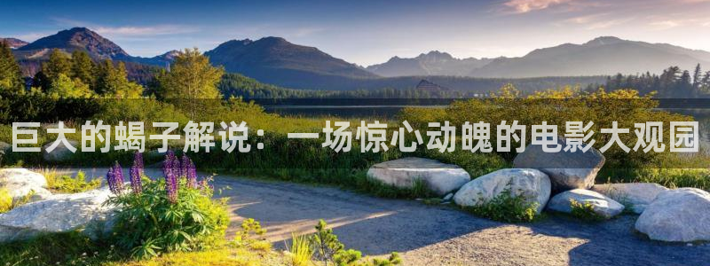 蚁人2星辰影院：巨大的蝎子解说：一场惊心动魄的电影大观园