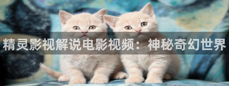 铠甲勇士第一部星辰影院：精灵影视解说电影视频：神秘奇幻世界