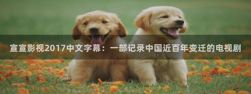 《蛮好人生》免费观看星辰影院：宣宣影视2017中文字幕：一部记录中国近百年变迁的电视剧