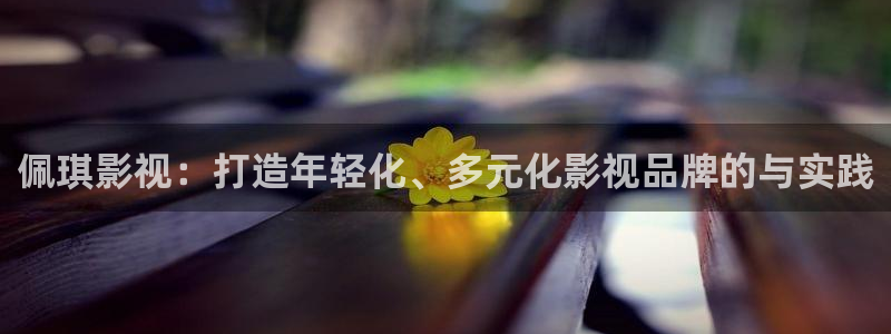 妈妈的朋友5星辰影院：佩琪影视：打造年轻化、多元化影视品牌的与实践