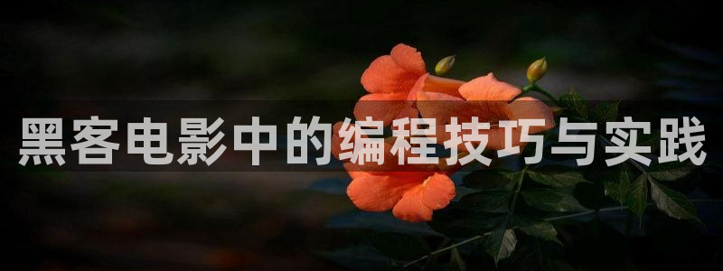 星辰影院藏海传：黑客电影中的编程技巧与实践