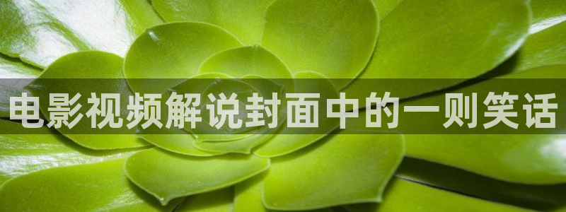 无心法师第一季星辰影院：电影视频解说封面中的一则笑话