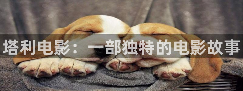 折腰星辰影院免费观看：塔利电影：一部独特的电影故事