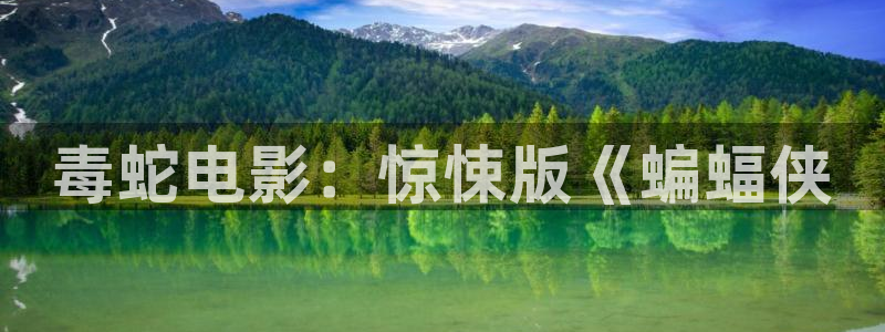 星辰影院在线电影观看：毒蛇电影：惊悚版《蝙蝠侠